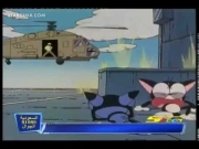 كورو القط الأسود