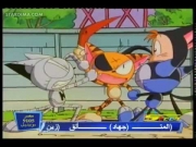 كورو القط الأسود