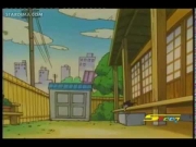 كورو القط الأسود