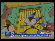 كورو القط الأسود
