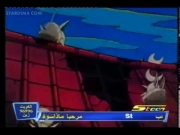 كورو القط الأسود