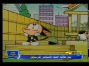 كورو القط الأسود