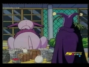 كورو القط الأسود