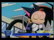 كورو القط الأسود