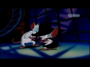 بينكي وبرين الجزء 1