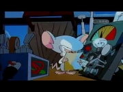 بينكي وبرين الجزء 1