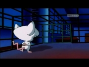 بينكي وبرين الجزء 1