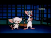 بينكي وبرين الجزء 1