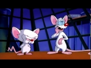 بينكي وبرين الجزء 1