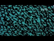 بينكي وبرين الجزء 2