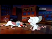 بينكي وبرين الجزء 2