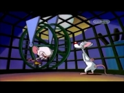 بينكي وبرين الجزء 2