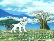 الليث الأبيض الجزء 2