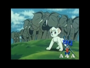 الليث الأبيض الجزء 2