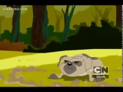 حياة جونيبر لي