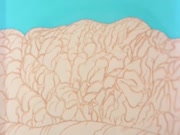 كان يا مكان الحياة