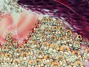 كان يا مكان الحياة