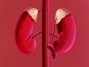 كان يا مكان الحياة