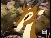 كاساي وليوك