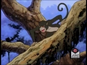 كاساي وليوك