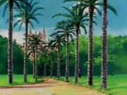 سوسن الزهرة الجميلة