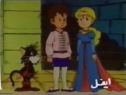 كركور وحذاء السعادة