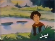 كركور وحذاء السعادة