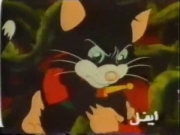 كركور وحذاء السعادة