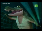 بطاريق مدغشقر