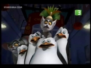 بطاريق مدغشقر