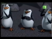 بطاريق مدغشقر