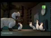 بطاريق مدغشقر