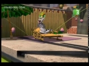 بطاريق مدغشقر