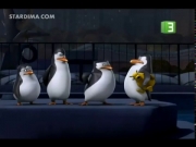 بطاريق مدغشقر