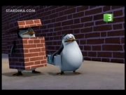 بطاريق مدغشقر