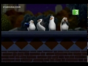 بطاريق مدغشقر