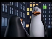 بطاريق مدغشقر