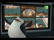 بطاريق مدغشقر