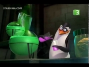 بطاريق مدغشقر