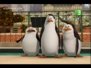 بطاريق مدغشقر