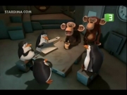 بطاريق مدغشقر