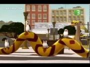 بطاريق مدغشقر