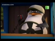 بطاريق مدغشقر