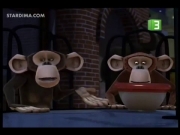 بطاريق مدغشقر