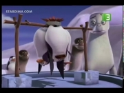 بطاريق مدغشقر