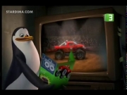 بطاريق مدغشقر