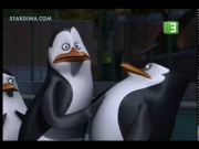 بطاريق مدغشقر