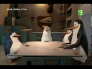 بطاريق مدغشقر