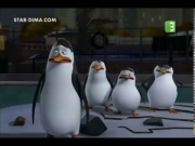 بطاريق مدغشقر