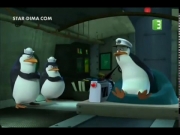 بطاريق مدغشقر